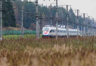 Эстакада на высокоскоростной магистрали Санкт-Петербург — Москва Эстакада на высокоскоростной магистрали Санкт-Петербург — Москва