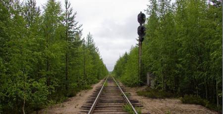 Железнодорожная линия Суккозеро — Юшкозеро Железнодорожная линия Суккозеро — Юшкозеро