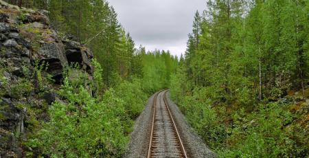 Железнодорожная линия Алакуртти — Салла Железнодорожная линия Алакуртти — Салла
