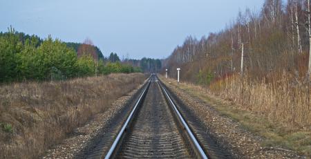 Вторые пути на участке Луга – Псков – Печоры Вторые пути на участке Луга – Псков – Печоры