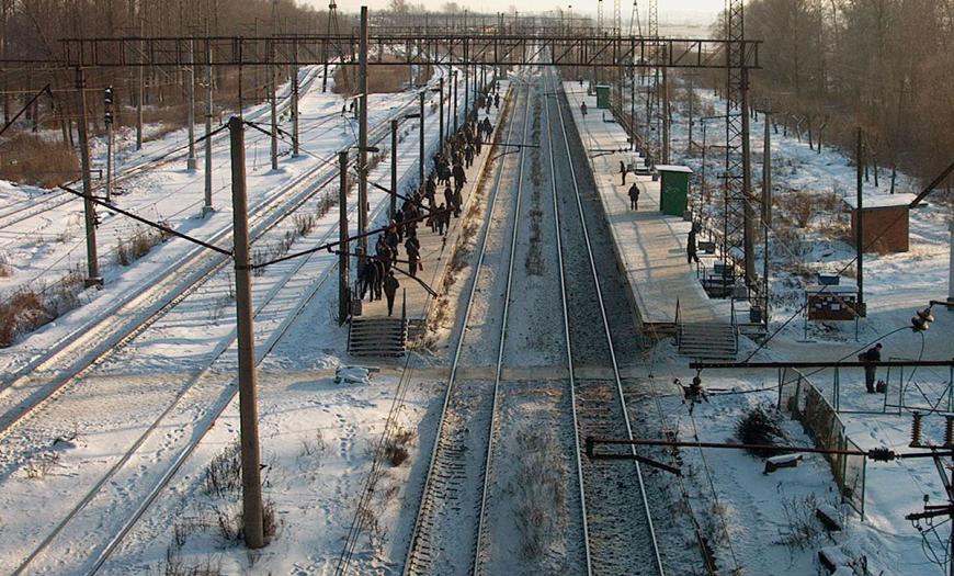 Развитие станции Шушары Развитие станции Шушары