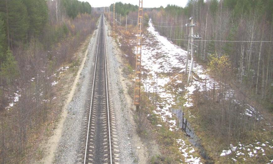 Железнодорожная линия Ледмозеро — Вача — Кочкома Железнодорожная линия Ледмозеро — Вача — Кочкома